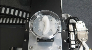 Watch a Jaw Being Bioprinted