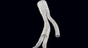  Gore Excluder Iliac Branch Endoprosthesis Gains Health Canada Approval 