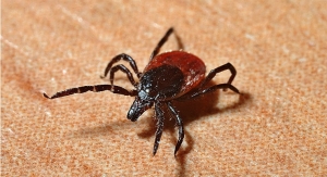 Lyme Disease Test Project Turns to Crowdfunding for Support