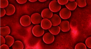 Scientists Uncover New Way to Grow Rare Life-Saving Blood Stem Cells 