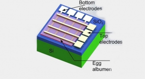 Making Dissolvable Medical Electronic Implants Out of Eggs
