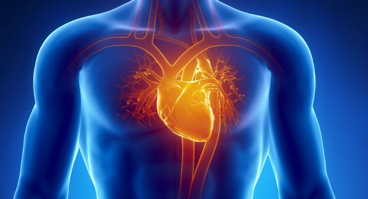 Electric Mesh Device Gives the Heart an Electromechanical Hug 