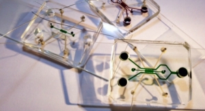 New Microfluidic Device Tests Effects of Electric Fields on Cancer Cells