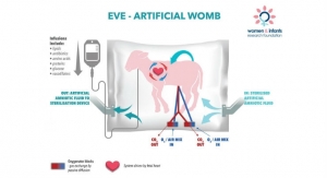 Artificial Womb Raises Hope for Premature Babies