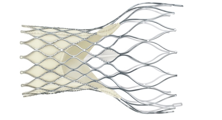 Medtronic Study to Evaluate the CoreValve Evolut PRO System in 