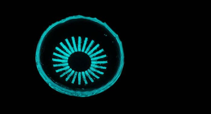 Glowing Contact Lens Could Prevent Leading Cause of Diabetic Blindness