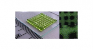 3D Bioprinting of Living Structures with Built-In Chemical Sensors