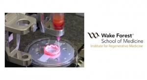 Tracheal Construct Bioprinted with Multiple Materials