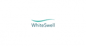 WhiteSwell Adds Two VPs to its Senior Management Team