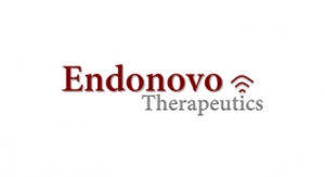 Endonovo to Spin Off Medical IP and Assets
