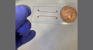 ‘Vein-on-a-Chip’ Could Help Scientists Study Thrombosis Without Animal Models
