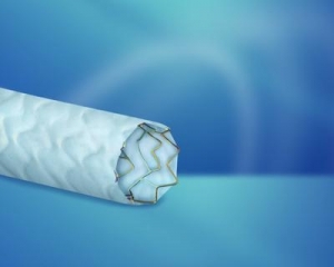 Biotronik Receives CE Mark for PK Papyrus Covered Coronary Stent