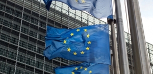 European Regulation in Flux
