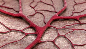 Artificial Blood Vessel Helps Test Medical Devices