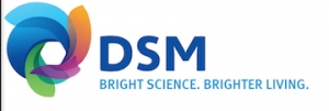 New Research at DSM