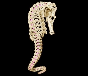 Researchers Study Seahorse Tail for Advanced Robotic Medical Devices