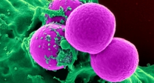 Engineered ‘Super Cells’ Seek and Destroy Cancer