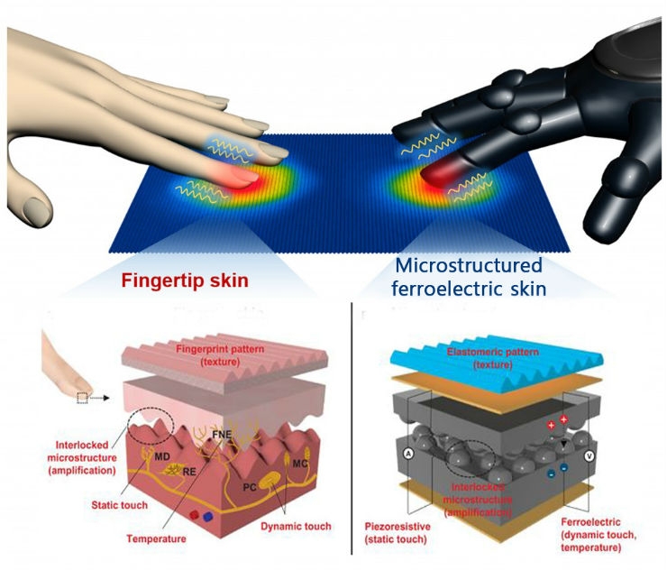 Smart Artificial Skin Holds Prosthetic Promise
