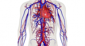 3-D Printing the Human Cardiovascular System Outside the Body 