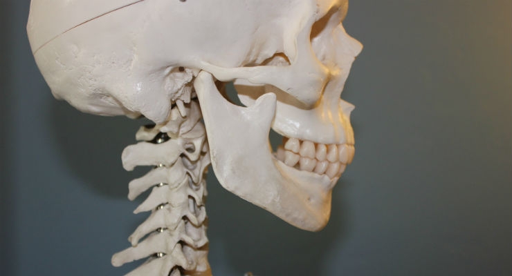 Researchers Discover the Possibility to Completely Restore Human Bones