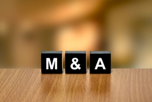 Consumer Sector M&A Activity Rocketed in 2015