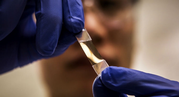 Flexible Film May Lead to Phone-Sized Cancer Detector 