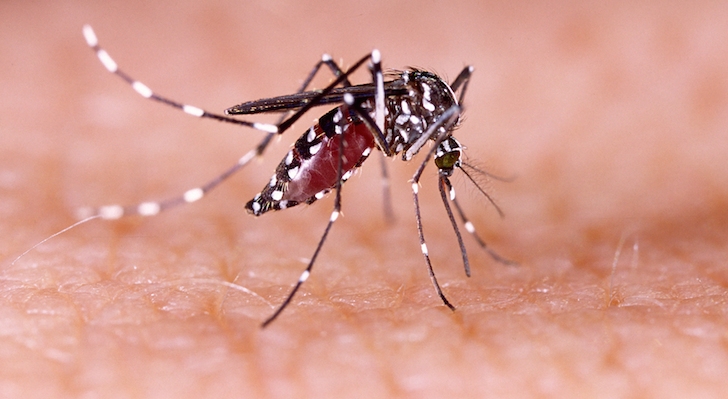 Zika & Insect Repellent