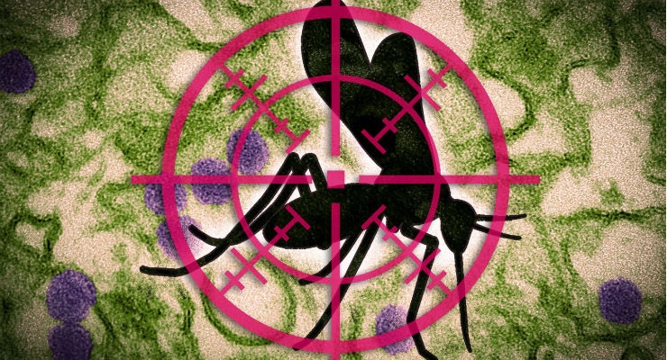 A New Paper-Based Test for the Zika Virus 