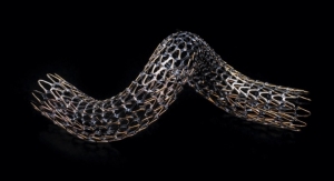 Gore TIGRIS Vascular Stent Gains FDA Approval