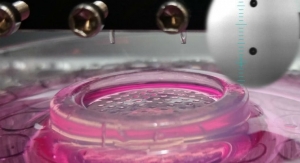 5 Ways Bioengineers Want to Use 3D Printing