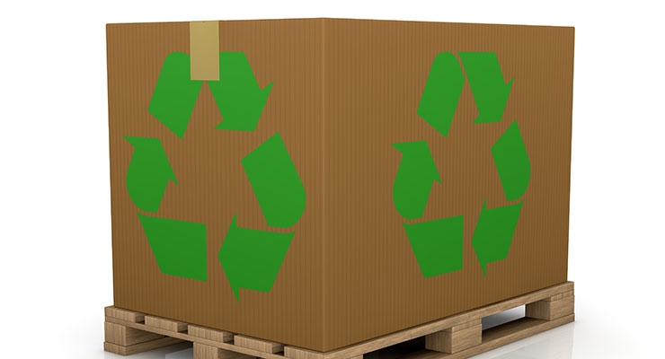 Sustainable Packaging and its Role in the Supply Chain