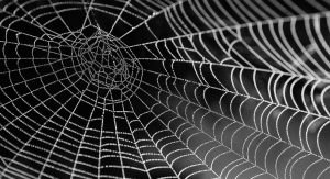Healing Powers of the Web