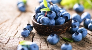 Healthy Growth Forecast for Global Processed Superfruits Market