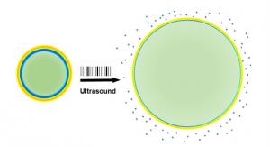 Ultrasound Pulses Activate Release of Drugs from Nanoparticles