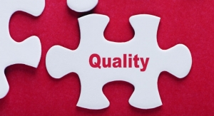 The Form, Fit, and Function of the Quality Role 