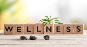 Wellness Means Business