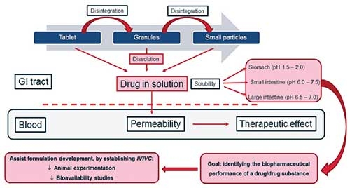 Know Your Drug:  A Solution to Dissolution