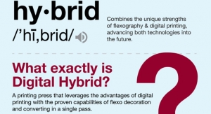 The meaning of digital hybrids