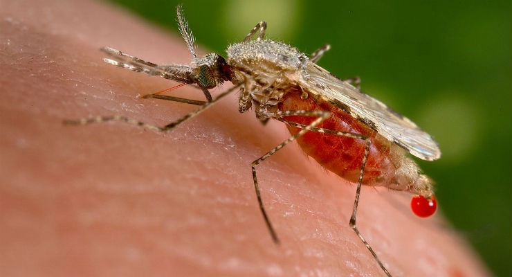 Alere Launches First-Ever Rapid Test to Screen Asymptomatic Malaria