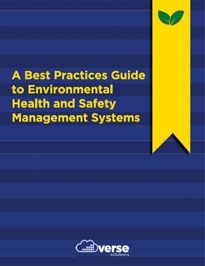 A Best Practices Guide to Environmental Health and Safety Management Systems