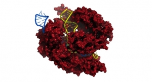 MilliporeSigma Develops New CRISPR Genome Editing Method