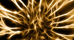 Neuron-Integrated Nanotubes Could Repair Nerve Fibers