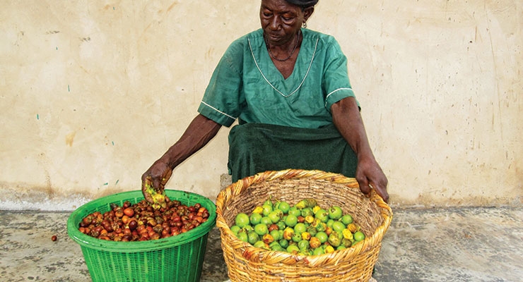 AAK Leads the Way in Sustainably-Sourced Shea