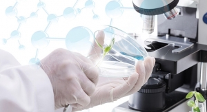 Testing Strategies in the  Modern Nutraceuticals Industry