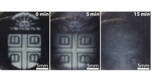 3D-Printed Biomaterials That Degrade on Demand
