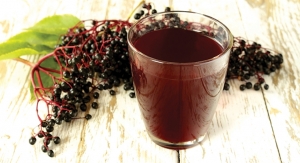 Black Elderberry: Providing A Year-Round Immune-Boost