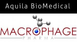 Aquila BioMedical, Macrophage Pharma Extend Immuno-Oncology Agreement