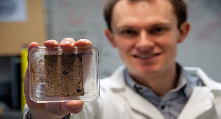UBC Okanagan: Mold Can Infiltrate, Weaken Bio-composite Materials
