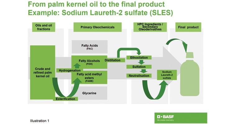 Processing of palm oil, palm kernel oil and fractionation process