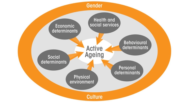Elements of Healthy Aging: A Multifactorial Endeavor